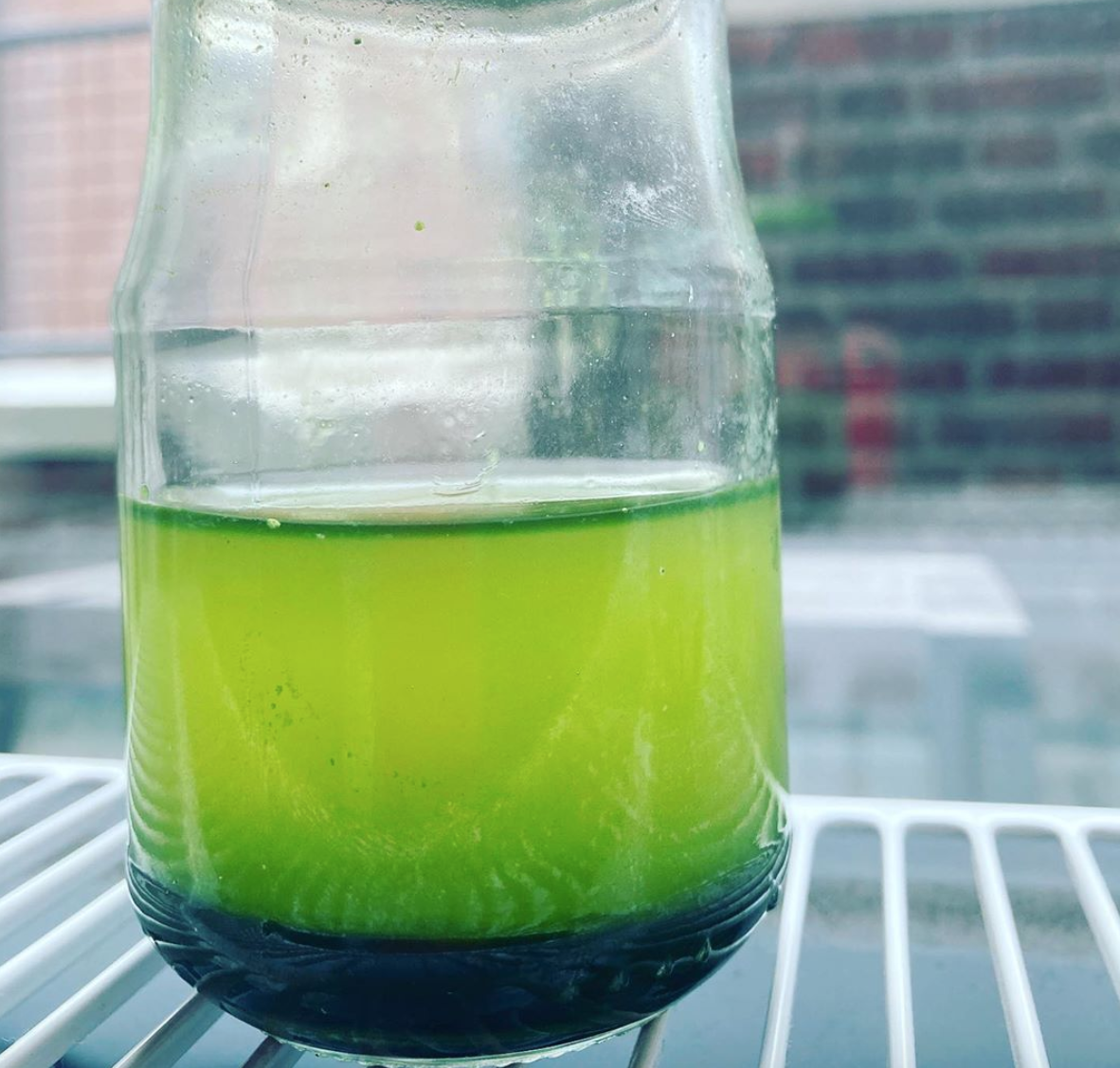 Pandan Zelf extract Maken